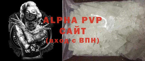 индика Гусиноозёрск