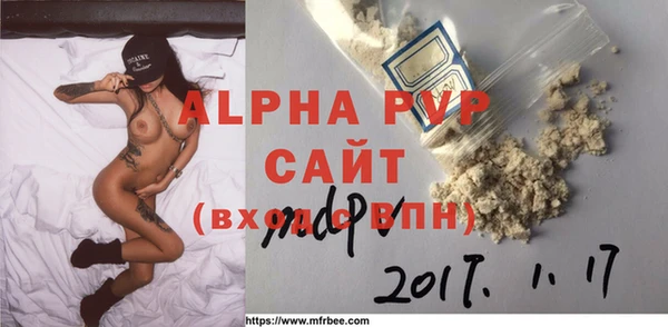индика Гусиноозёрск