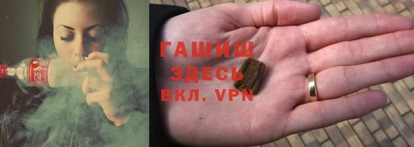 индика Гусиноозёрск