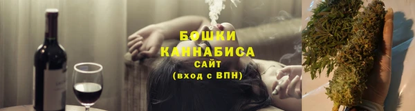 индика Гусиноозёрск