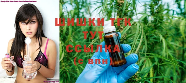 индика Гусиноозёрск