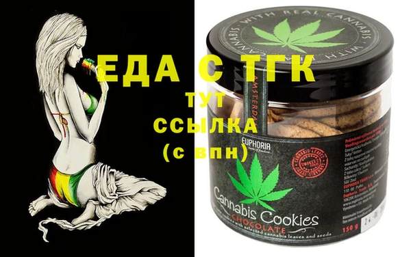 индика Гусиноозёрск
