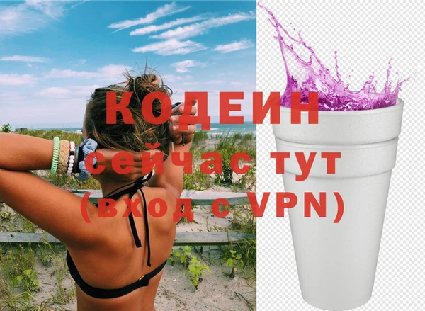 индика Гусиноозёрск