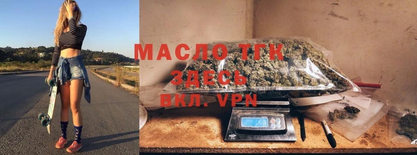 индика Гусиноозёрск