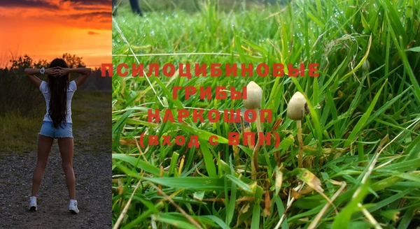 индика Гусиноозёрск