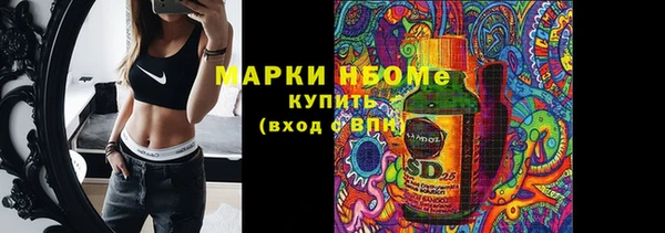 индика Гусиноозёрск