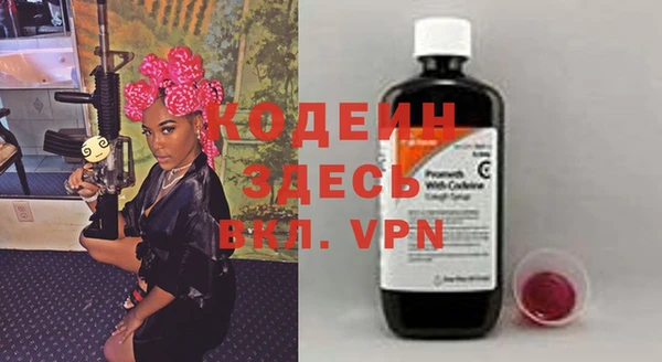 индика Гусиноозёрск