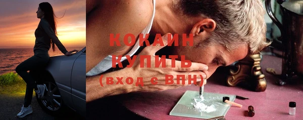 индика Гусиноозёрск