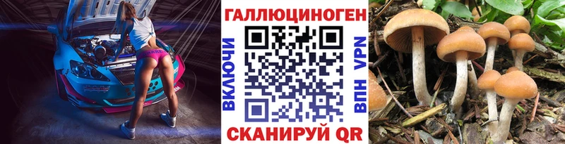 наркошоп  ссылка на мегу как зайти  Псилоцибиновые грибы прущие грибы  Жиздра 